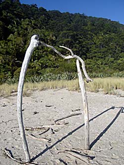 Stöcke am Strand, die wie Gerippe aussehen